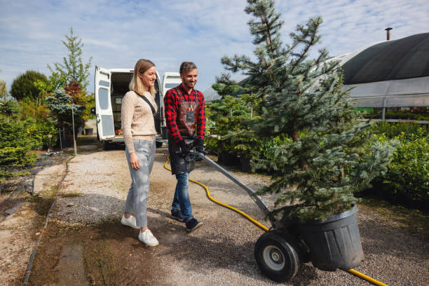 Madera Ranchos, CA Tree Care Services Company